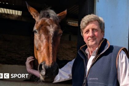 Golden Ace chasing more Cheltenham glory for Scott