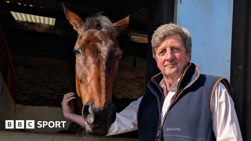 Golden Ace chasing more Cheltenham glory for Scott