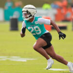 MIami Dolphins trade safety Minkah Fitzpatrick to New York Jets