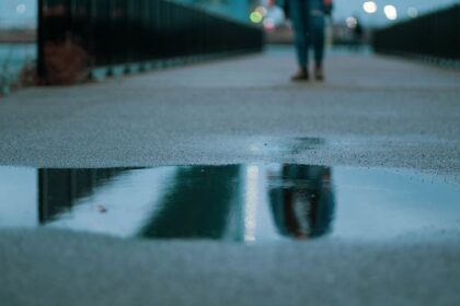 Source: Bengals won't tender backup QB Browning