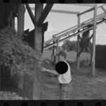 Sources: Ex-Pack QB Willis, Dolphins reach deal