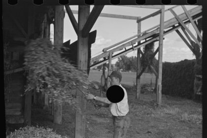 Sources: Ex-Pack QB Willis, Dolphins reach deal