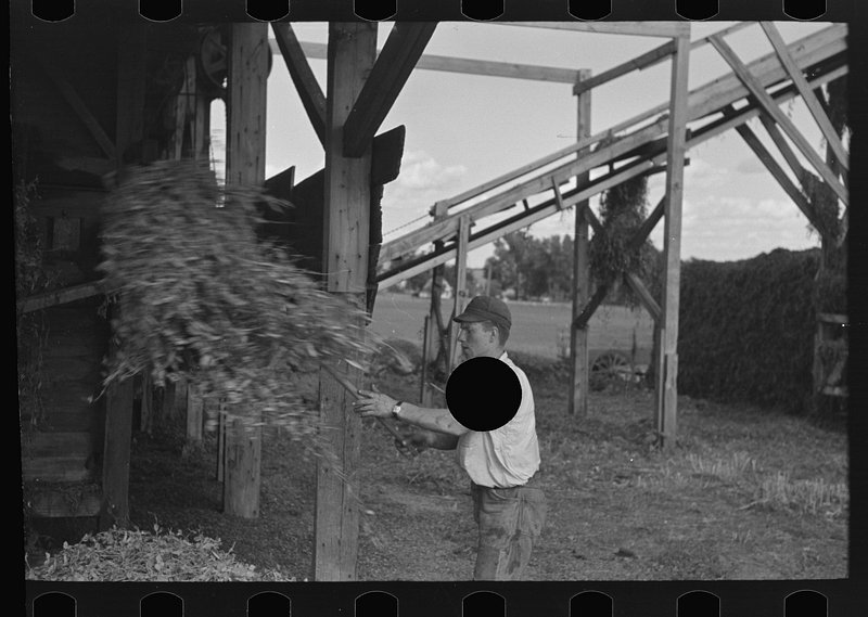 Sources: Ex-Pack QB Willis, Dolphins reach deal