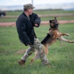 WR Mike Evans to leave Bucs, reportedly join Niners