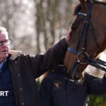 Redknapp's Jukebox Man confirmed for Gold Cup