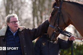 Redknapp's Jukebox Man confirmed for Gold Cup