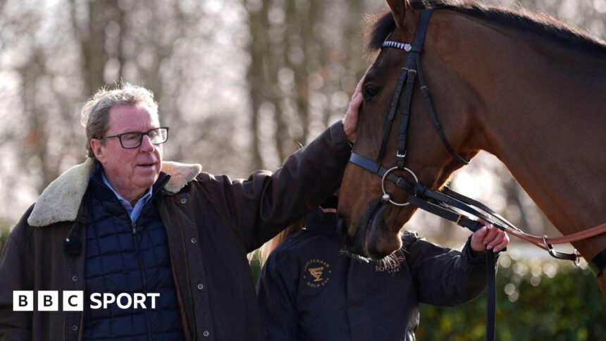 Redknapp's Jukebox Man confirmed for Gold Cup