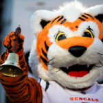 NFL free agency Day 2 discussion and Bengals news