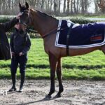 'Dream come true' - Redknapp eyes Jukebox Man Gold Cup win