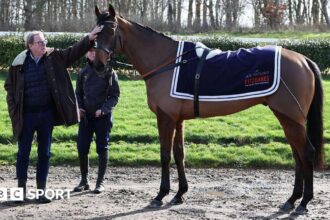 'Dream come true' - Redknapp eyes Jukebox Man Gold Cup win