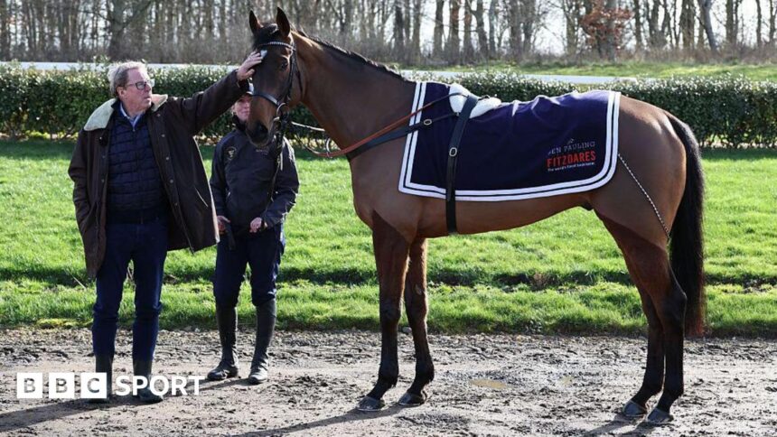 'Dream come true' - Redknapp eyes Jukebox Man Gold Cup win