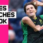 Highest-auctioned Coles 'has great future' - Flower