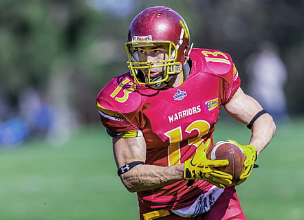 Gaelic Warrior strikes gold at Cheltenham; Envoi Allen dies after finish