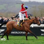 Third horse dies at Cheltenham after Gold Cup race