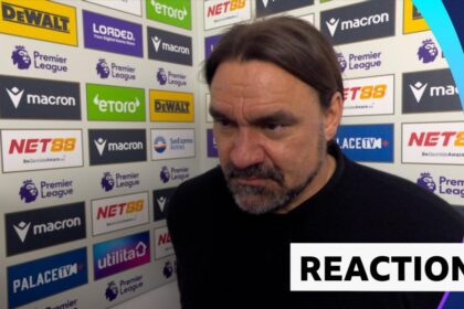 Gudmundsson sending off a 'clear mistake' - Farke