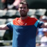 Norrie replaces Draper as British number one - but for how long?
