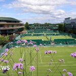Wimbledon tennis expansion gets High Court boost