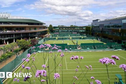 Wimbledon tennis expansion gets High Court boost