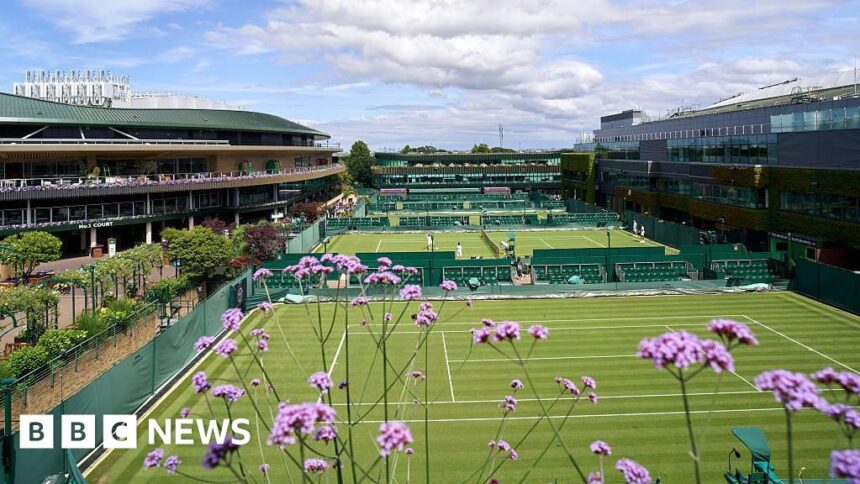 Wimbledon tennis expansion gets High Court boost