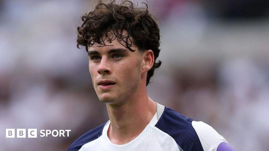 How Gray is proving a shining light in Tottenham's season of turmoil