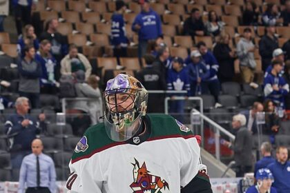 Karel Vejmelka, Mammoth dominate Knights in shutout