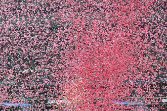 Salah to leave Liverpool and become free agent