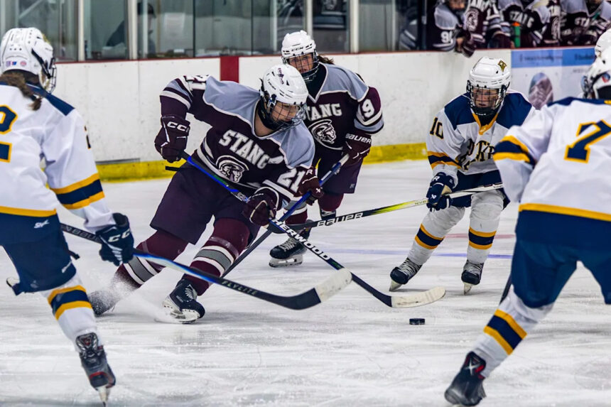 Defensive standouts — Vote for the Girls Hockey Player of the Year