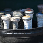 SEC baseball power rankings: League sees massive shift entering Week 3