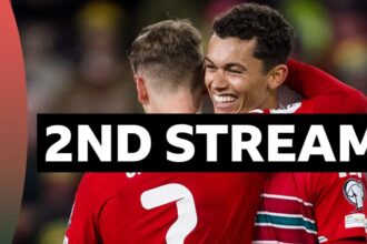An alternative way to watch Wales v Bosnia-Herzegovina