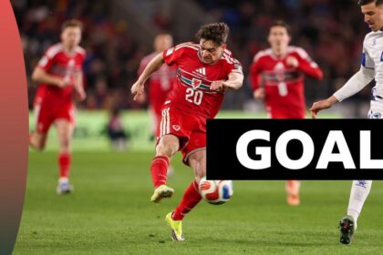 'Stunning, breathtaking, glorious!' James gives Wales lead against Bosnia