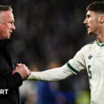 Eyes on Northern Ireland's future as World Cup dream ends