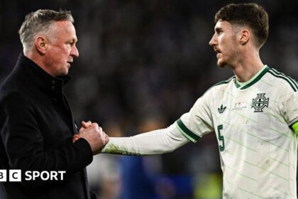 Eyes on Northern Ireland's future as World Cup dream ends