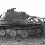 Tiger Woods arrested and jailed after being involved in Florida car crash