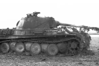 Tiger Woods arrested and jailed after being involved in Florida car crash