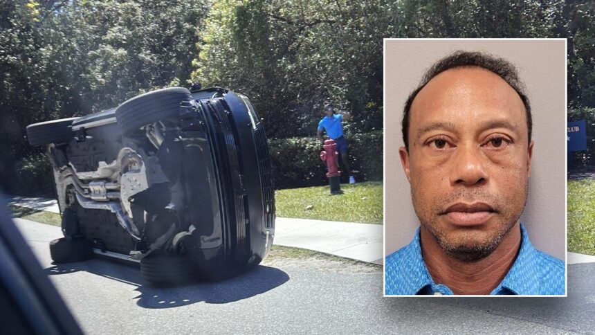 Tiger Woods' mugshot released; eyes appear bloodshot after DUI arrest