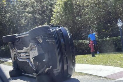 Tiger Woods released on bail hours after arrest at crash scene on suspicion of DUI