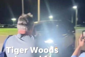 Tiger Woods released from jail after DUI arrest in South Florida