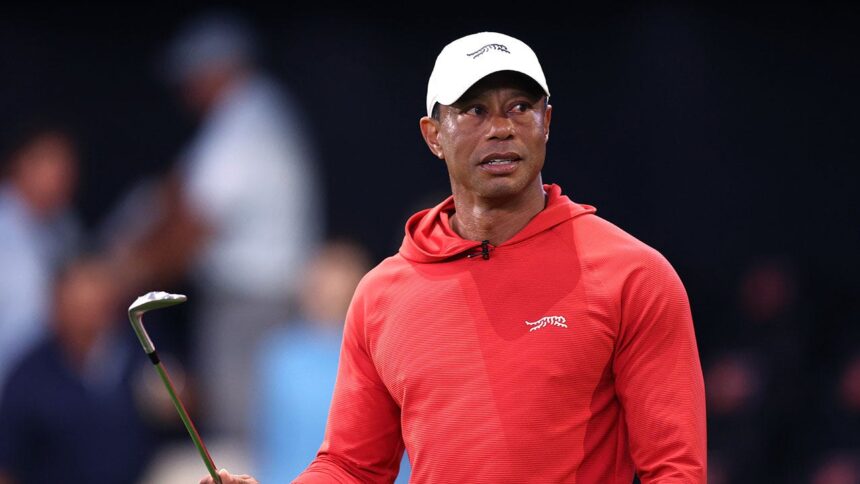 Sportscaster Jim Gray says Tiger Woods' DUI arrest is 'another cry for help'