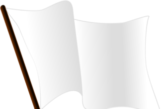 Alex Fitzpatrick joins brother Matt as Euro winner