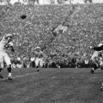 Former Vikings All-Pro safety Browner dies at 65