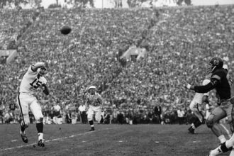 Former Vikings All-Pro safety Browner dies at 65