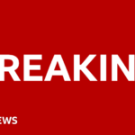 Cardiff City damages claim over Emiliano Sala death dismissed