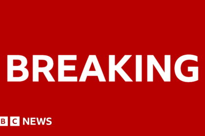 Cardiff City damages claim over Emiliano Sala death dismissed