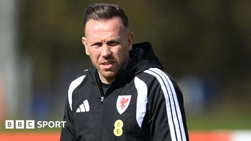 Wales boss Bellamy to keep 'best job in the world'