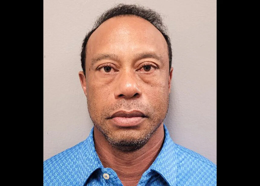 Forget the Masters. Forget golf. Tiger Woods needs help | D'Angelo