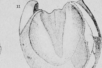 John Harbaugh, Giants considering Odell Beckham Jr. reunion