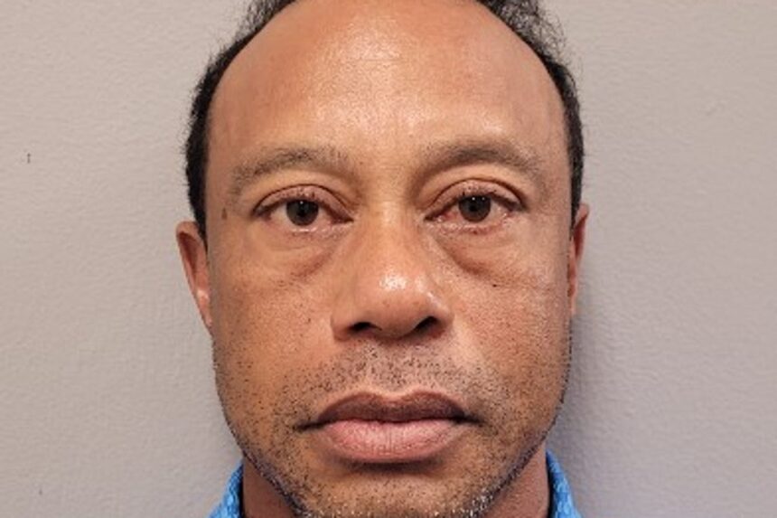 Tiger Woods ‘to step away and seek treatment’ in first public statement since car crash