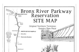 Brook, Bethell cautioned as Tongue escapes action over nightclub altercation