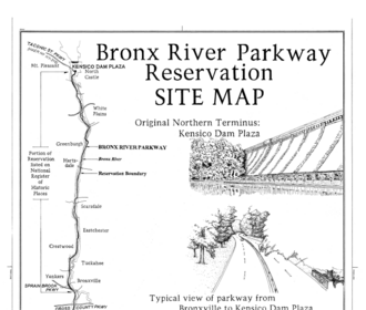 Brook, Bethell cautioned as Tongue escapes action over nightclub altercation