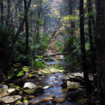 LIVE STREAM: Watch Dubois vs Harper media workout